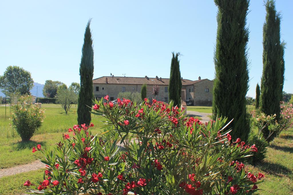 Il Grifone A Cortona Residence Exterior foto
