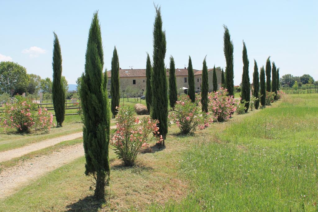 Il Grifone A Cortona Residence Exterior foto