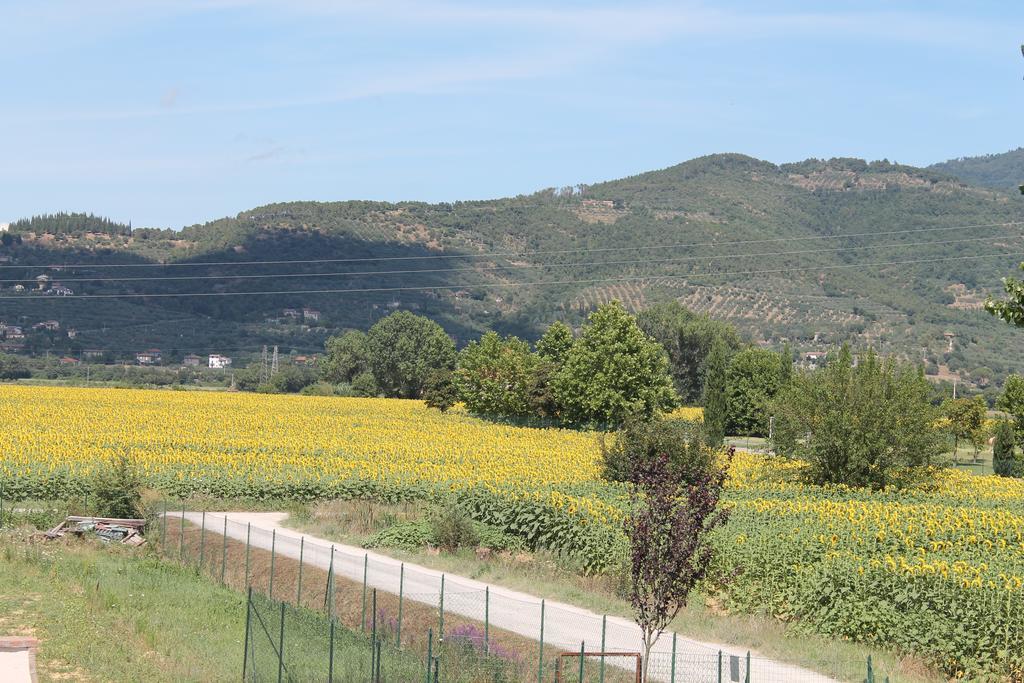 Il Grifone A Cortona Residence Exterior foto