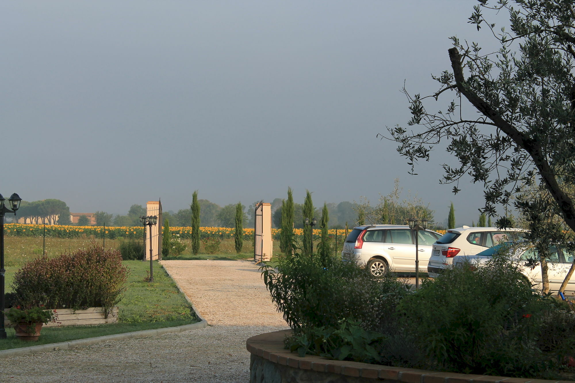 Il Grifone A Cortona Residence Exterior foto